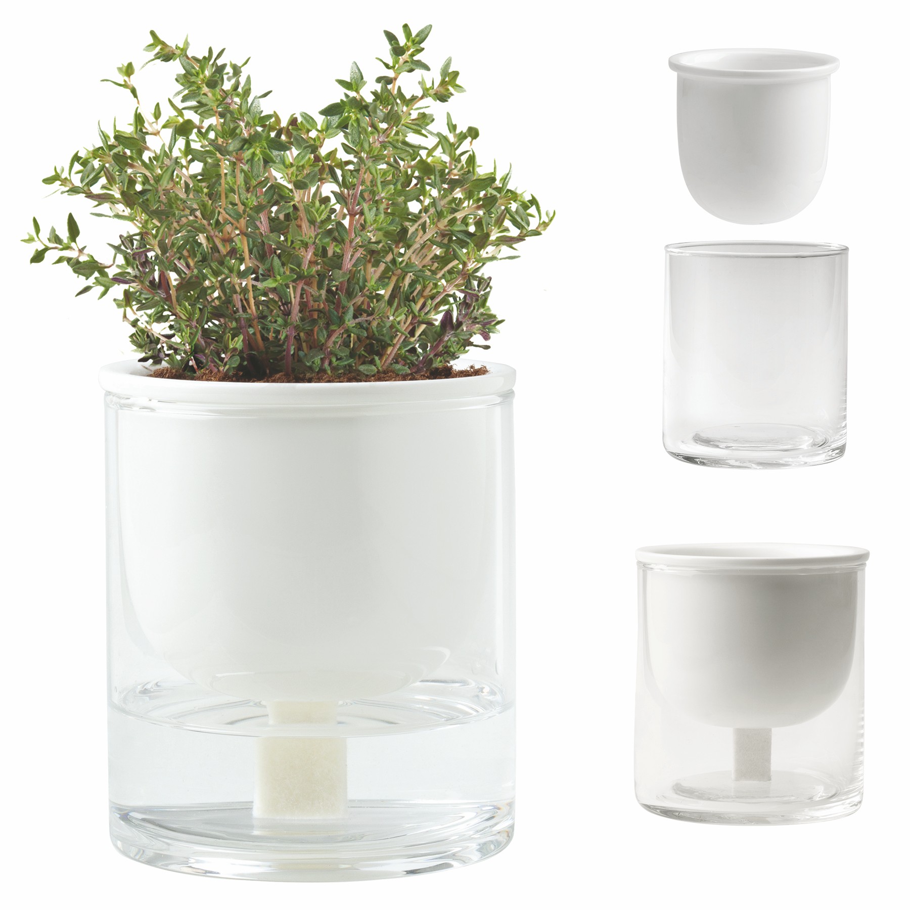 Self Watering Planter