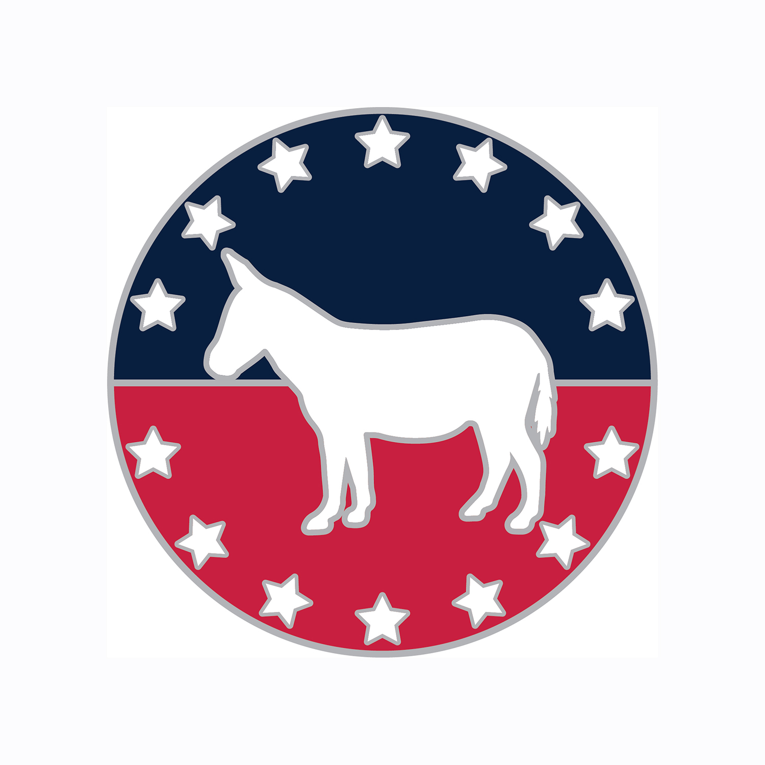 Democratic Party Lapel Pin