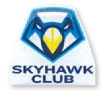 Printed Stainless Steel Lapel Pin