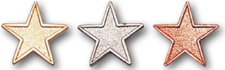 Star Stock Pin