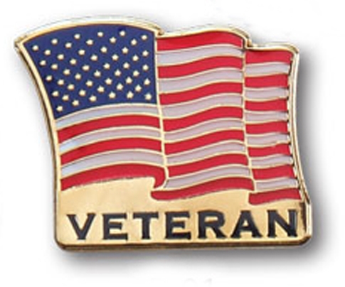 Veteran US Flag Stock Pin