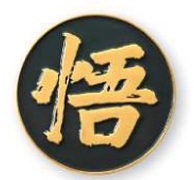 Soft Enamel Lapel Pin with Military Clutch