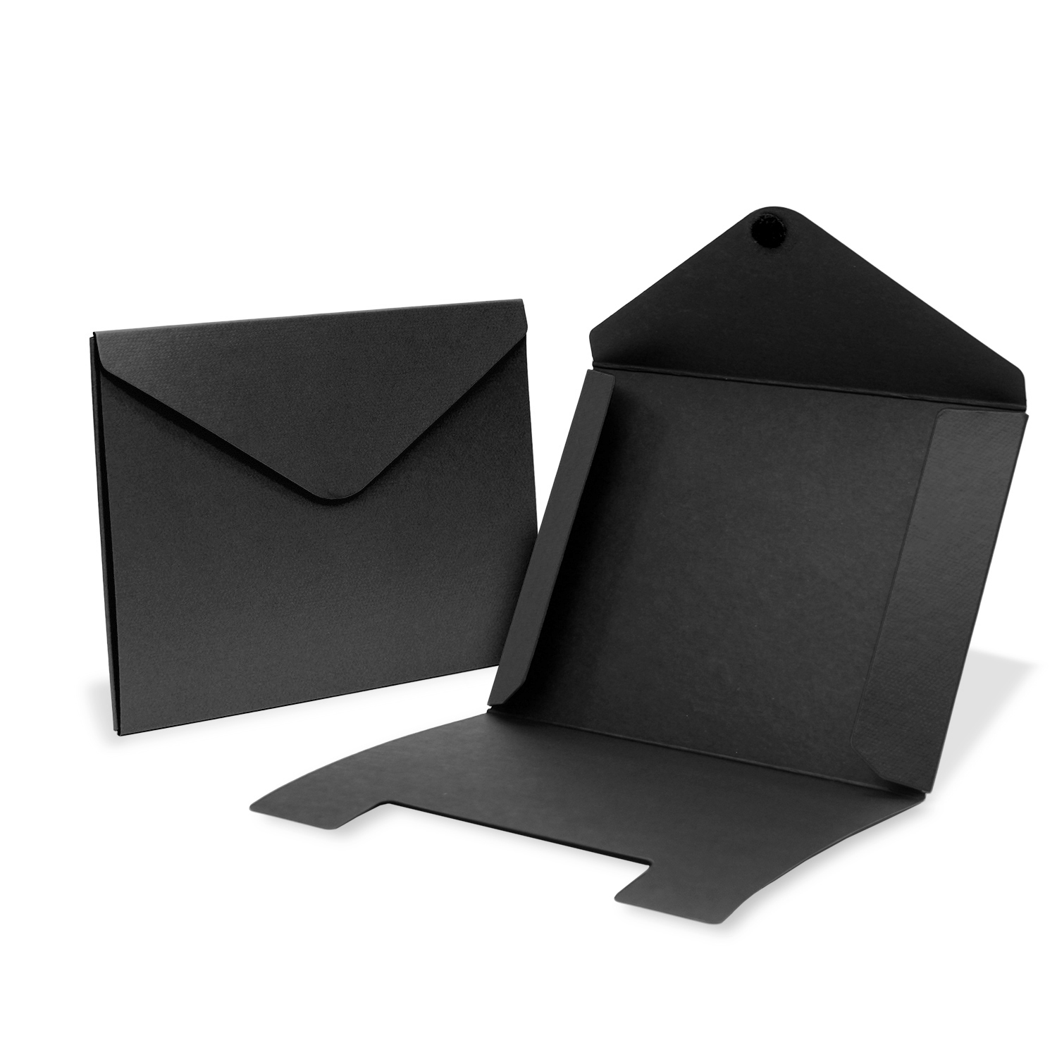 Portfolio with Snap Closure (12"x9"x0.25")