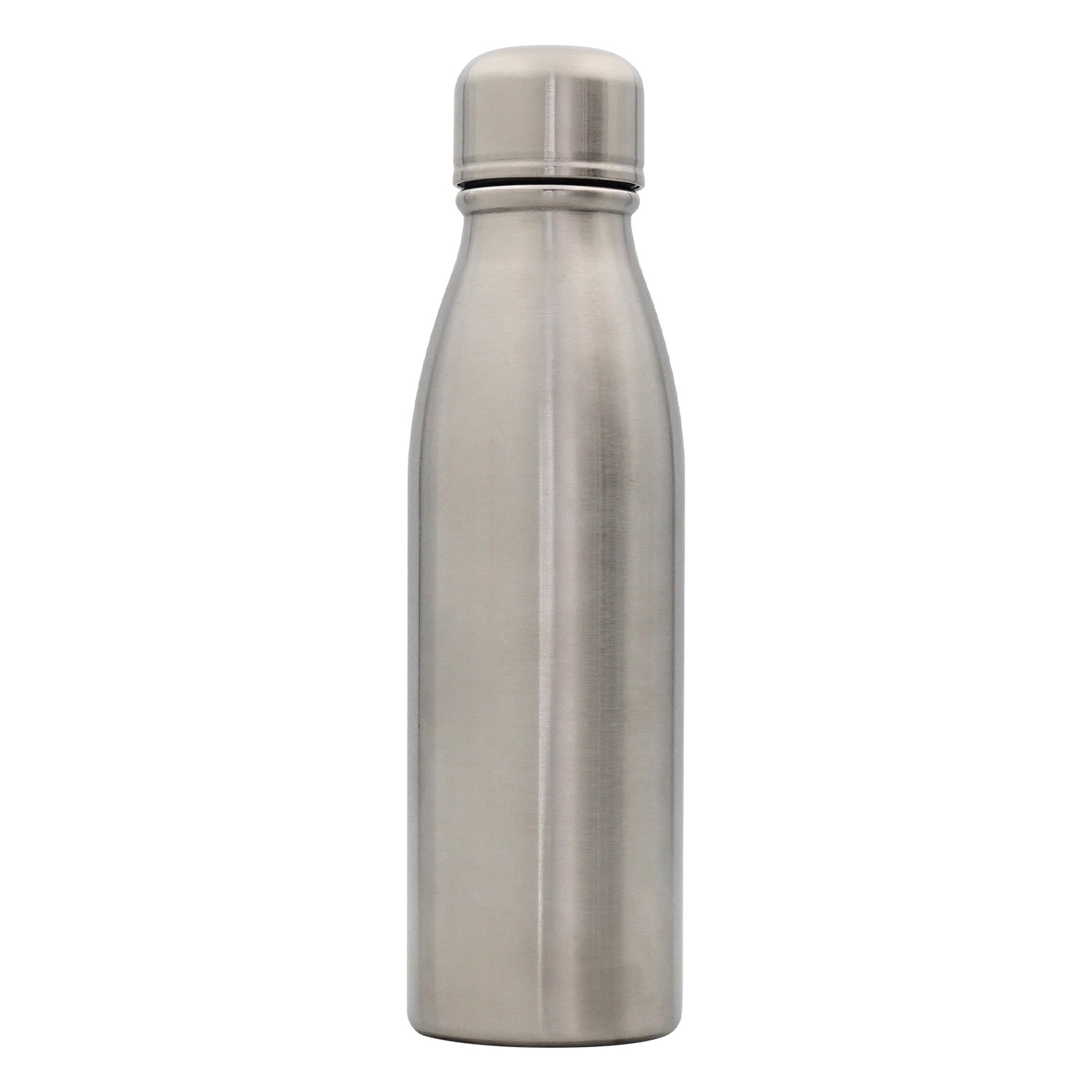 Stainless Silhouette Bottle