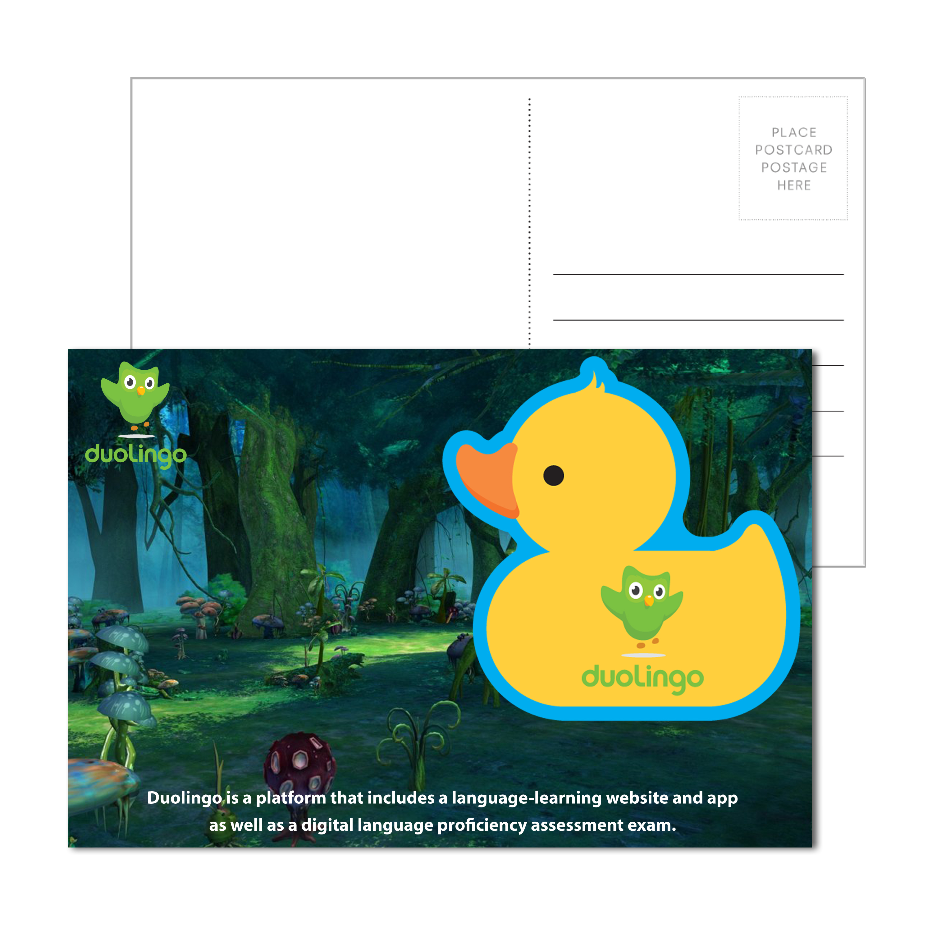 Postcard Mailer with Rubber Duck Coaster